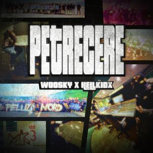 Petrecere (feat. hellkidx)