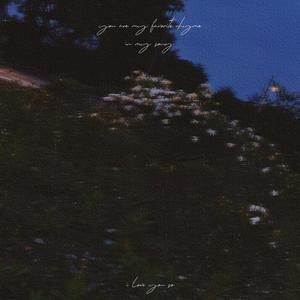 夜空下的花与风