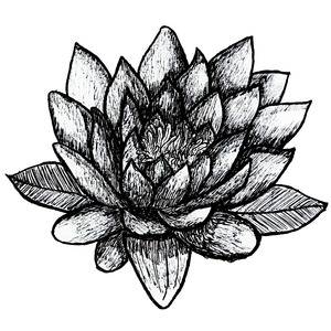 Expectations (Single Version)