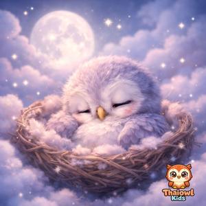 นกฮูกน้อยหลับฝันดี