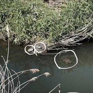 Turtle (feat. matatabi)