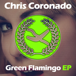 Flamingo (Original Mix)