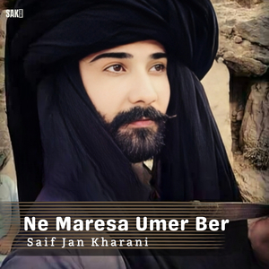 Nagatha Saang Bhoot Mani Dillber