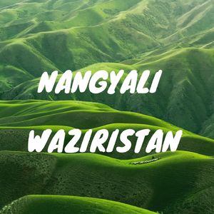Nangyali Waziristan