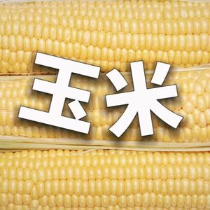 玉米(cover:某幻君/王瀚哲)
