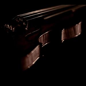 Front Row Quiet (Violin)