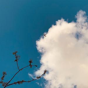 想找一个没雨的地方