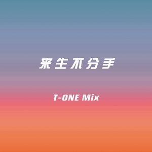 来生不分手