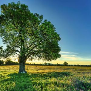 落寞天空 (空灵鼓治愈)