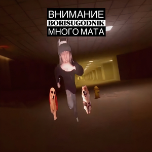 WTF