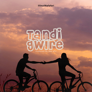 Tandi gwire