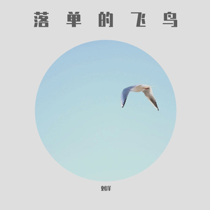 落单的飞鸟