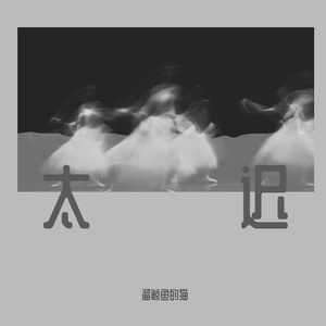 太迟