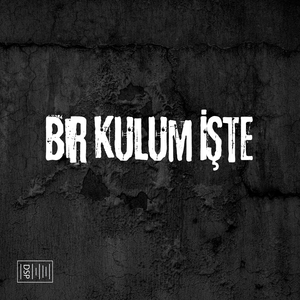 Bir Kulum İşte