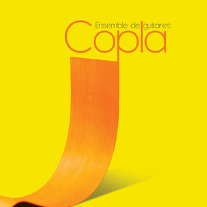 Quintette pour guitare in D Major, G. 448:IV. Fandango