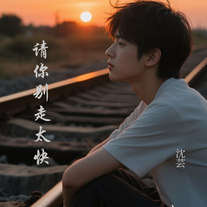 请你别走太快