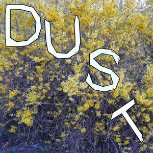 Dust