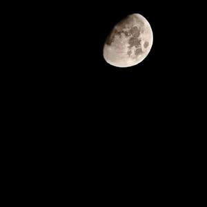 生长（prod.by Bizy）