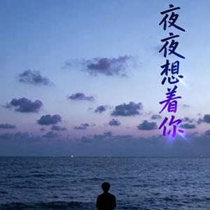 夜夜想着你