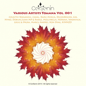 Marea Delamare (Original Mix)