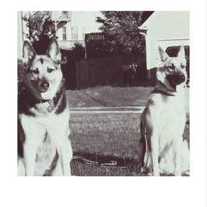 ending credits (for bark)