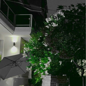 라일락 꽃 : 첫 사랑, 젊은 날의 추억