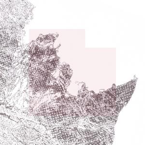 Stillness Is Your Garden