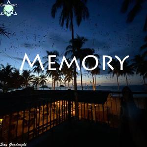 [Free]memory