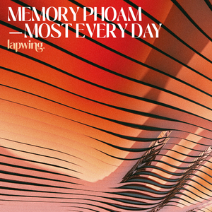 lapwing. (9pm falling version)