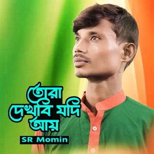 তোরা দেখবি যদি আয়