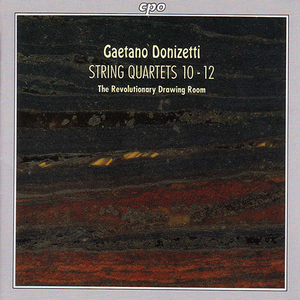 Introduzione: Larghetto affetuoso