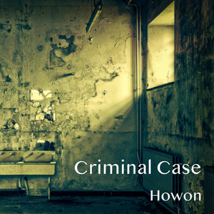 Criminal Case