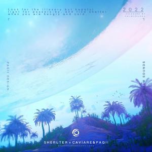 Nutz-Shelter(Remix）（Caviare remix）