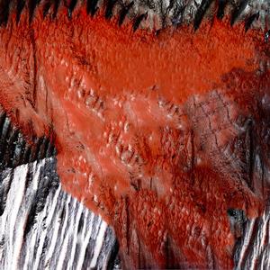 you live by the sword