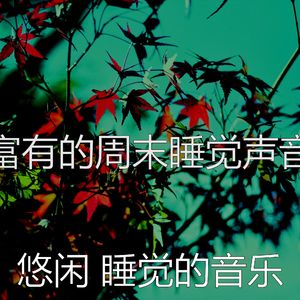 一尘不染做梦印象数