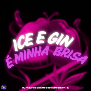 ICE E GIN É MINHA BRISA