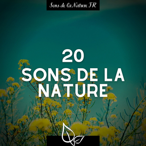 L'existence (Avec son de nuit)