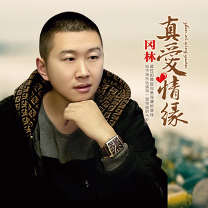 真爱情缘(伴奏)