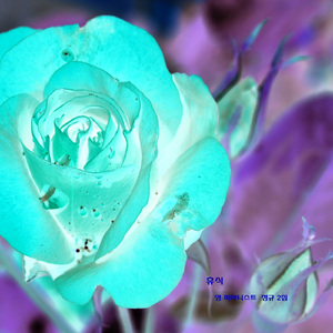 행복한 꿈나라 (자장가)