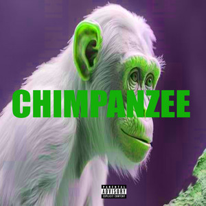 Chimpanzee