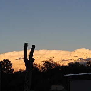 写给前任的遗憾