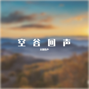 空谷回声