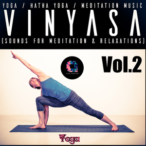 Vinyasa Flow