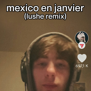 Mexico en Janvier (Lushe Remix)