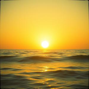 Eyy Kalbi Aldananlar