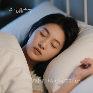 梦醒时分（你说你爱了不该爱的人）