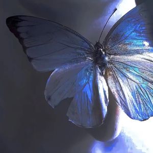 【美颖的蓝】TRAPBEAT