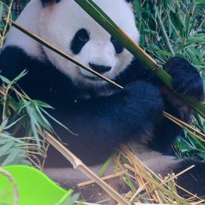 笑容角落