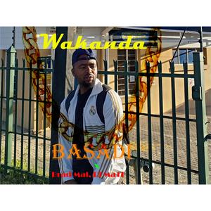 Basadi (feat. Brad Mal x Dj Ma11)