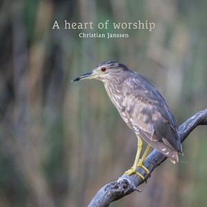 A heart of worship